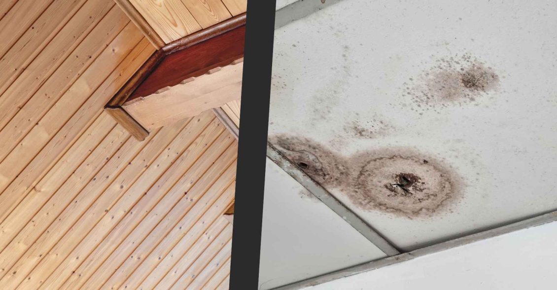 Forro de PVC ou Drywall Qual é a Melhor para o Seu Projeto